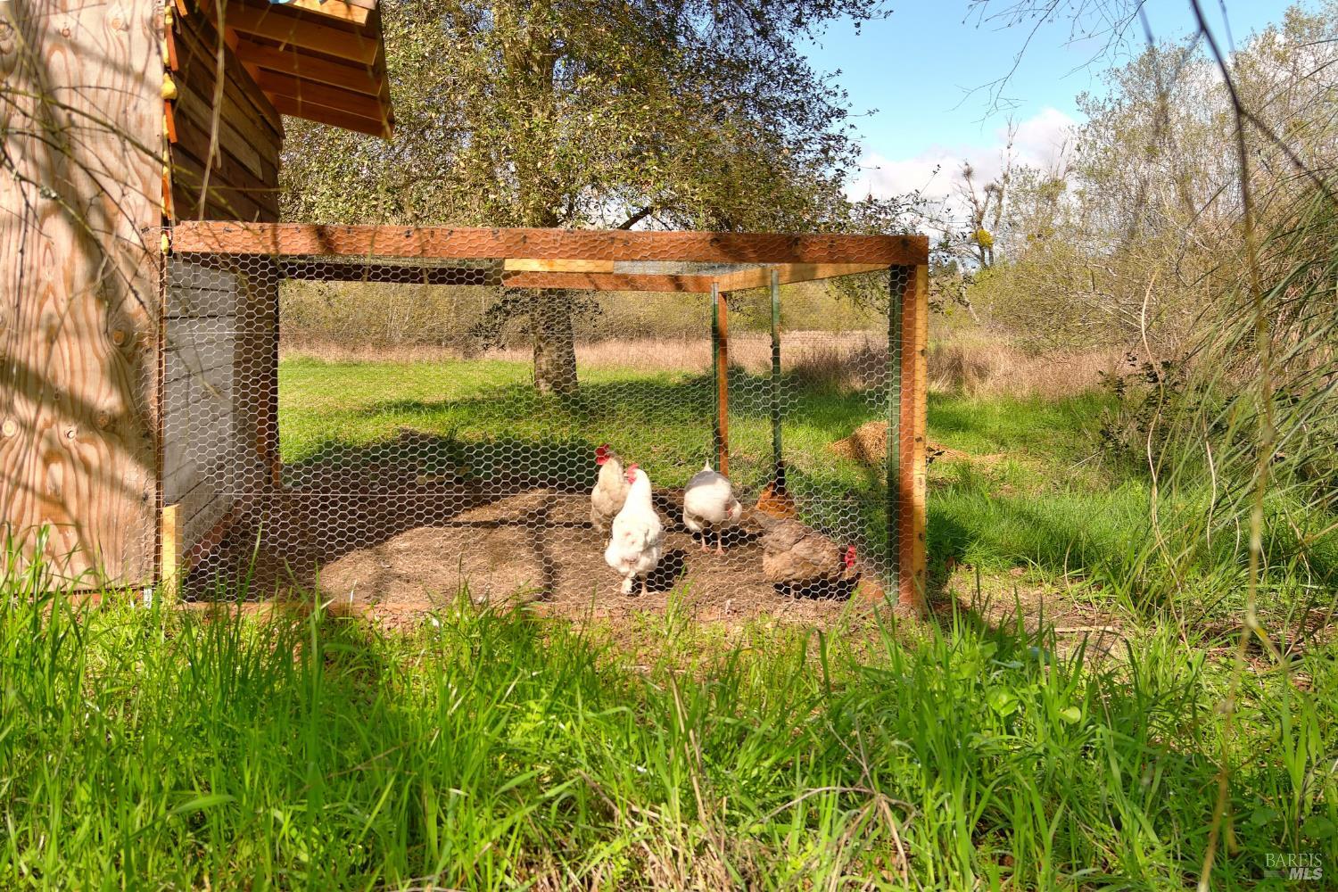755 Watertrough Road Sebastopol, CA 95472 - Photo 21 of 38