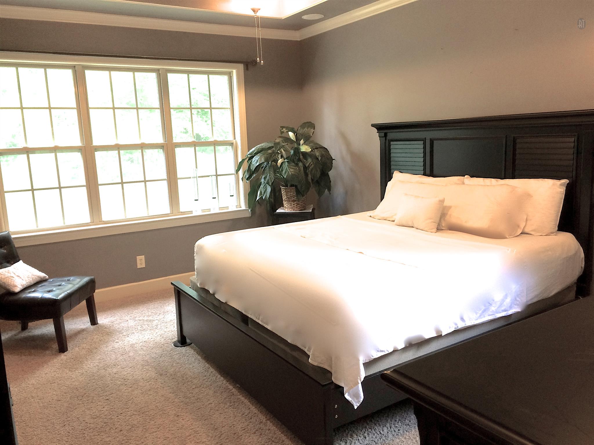 1037 Rock Church Road Dickson, TN 37055 - Photo 5 of 15 Spacious master suite double tray ceiling, tons of light and gorgeous crown molding!