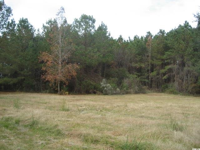 7463 Bees Creek Road Ridgeland, SC 29936 - Photo 5 of 13 Additional Photo