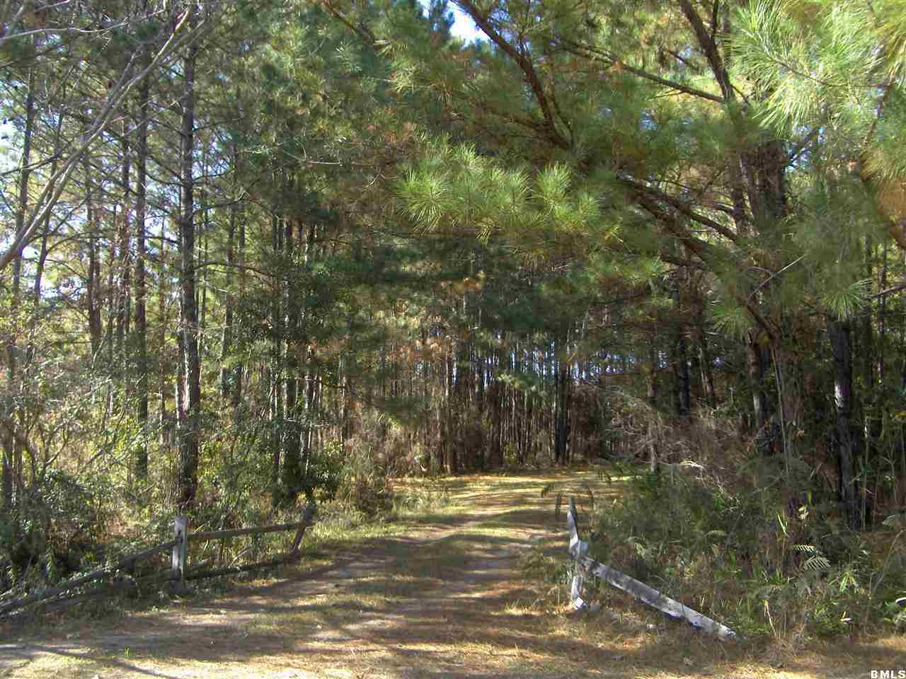 7463 Bees Creek Road Ridgeland, SC 29936 - Photo 8 of 13 Additional Photo