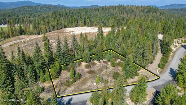 $119,000 | Lot 1 Long Drive, Priest Lake, ID 83856