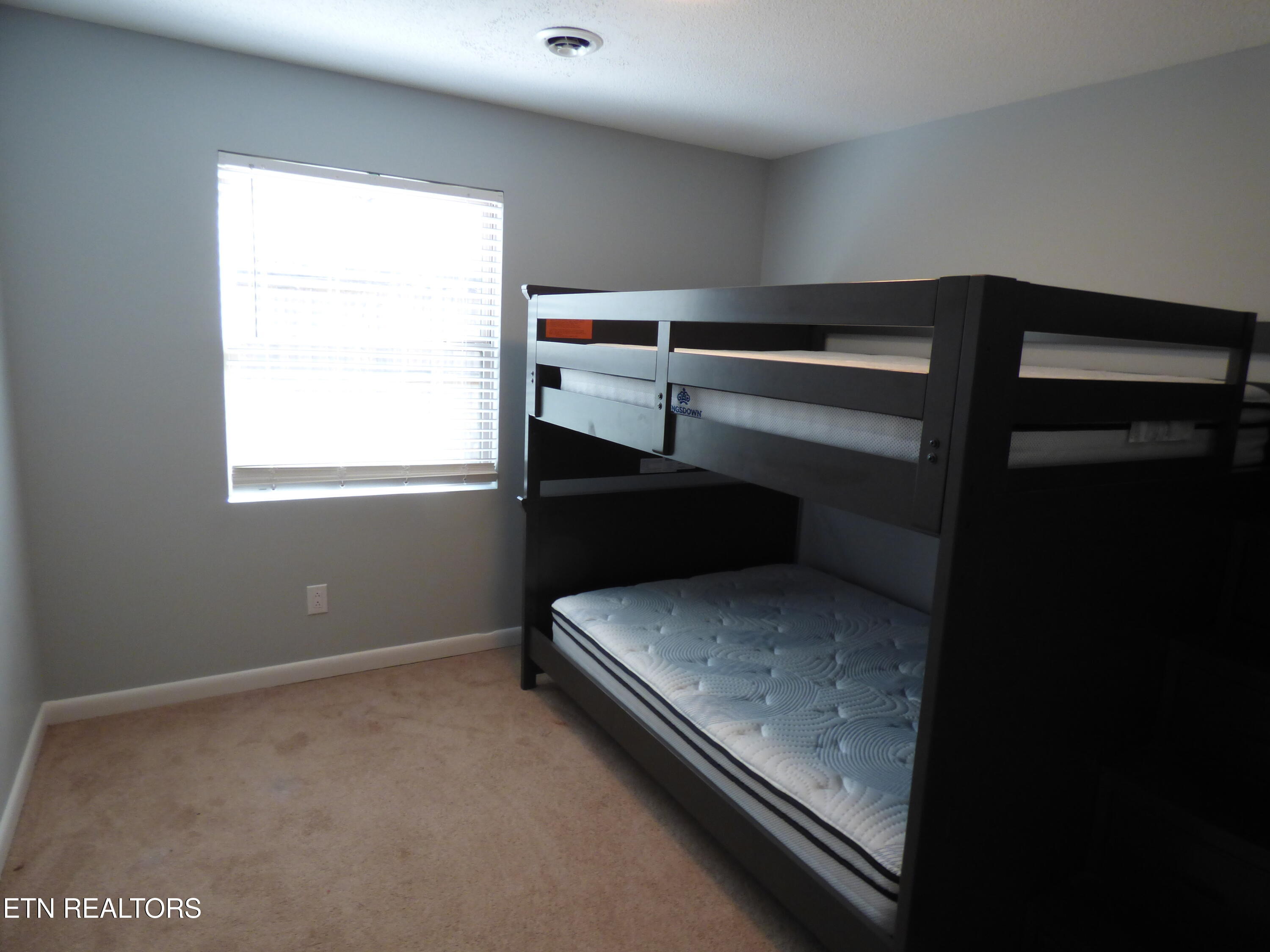 153 Travis Drive Spring City, TN 37381 - Photo 23 of 45 P1080905