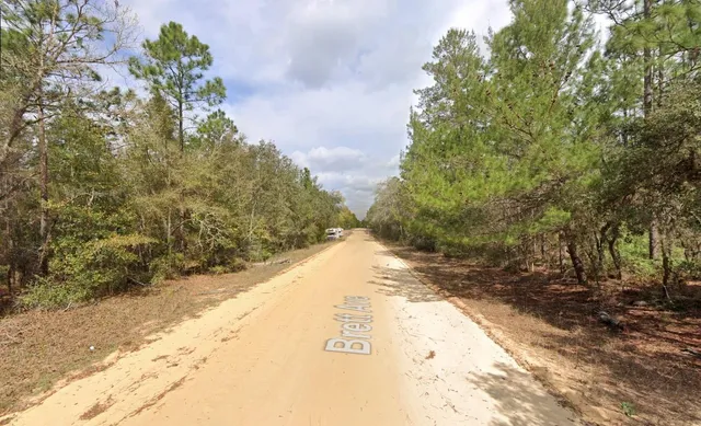 a view of a yard with plants and trees