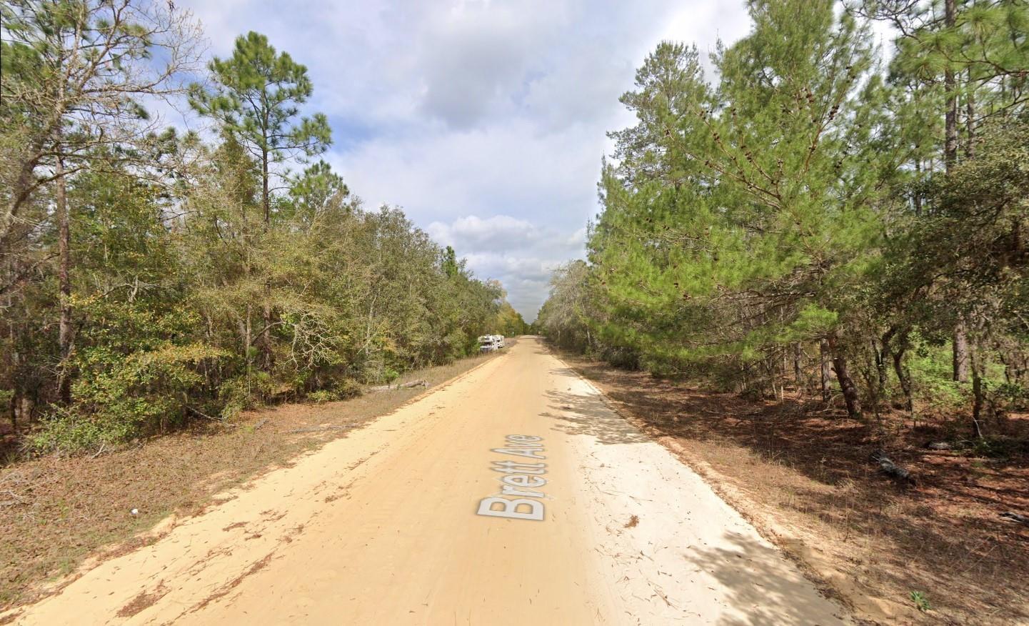 a view of a yard with plants and trees