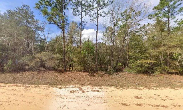 a view of a yard covered in snow