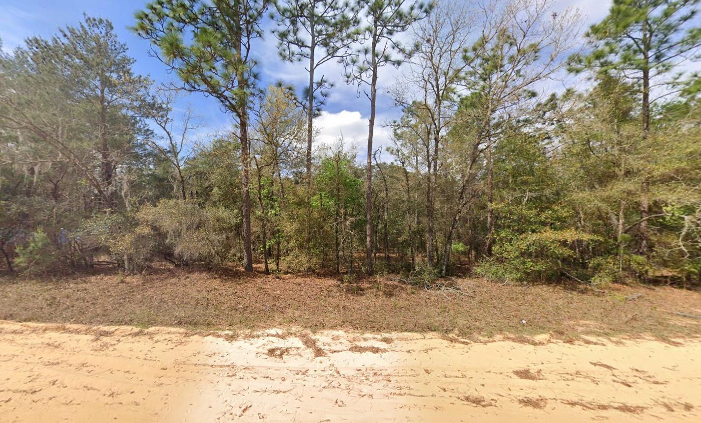 421 Brett Avenue Interlachen, FL 32148 - Photo 2 of 5 a view of a yard covered in snow