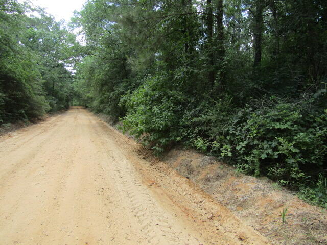 10 Bullard Church Road Baker, FL 32531 - Photo 5 of 5 a view of a yard with plants and trees
