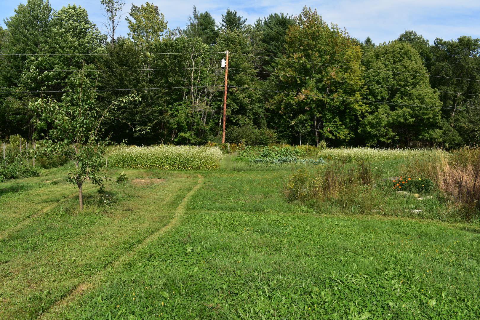 462 Town House Road Vienna, ME 04360 - Photo 26 of 34 DSC_0885