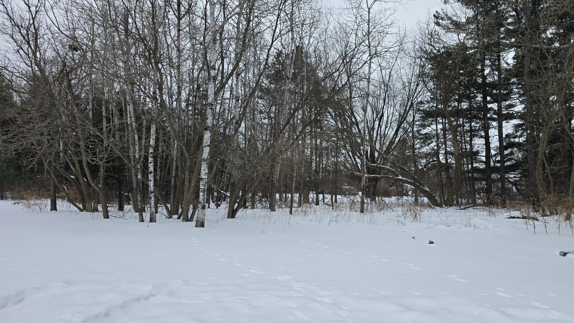905 Langlade Road Antigo, WI 54409 - Photo 31 of 38 Gallery Image 31