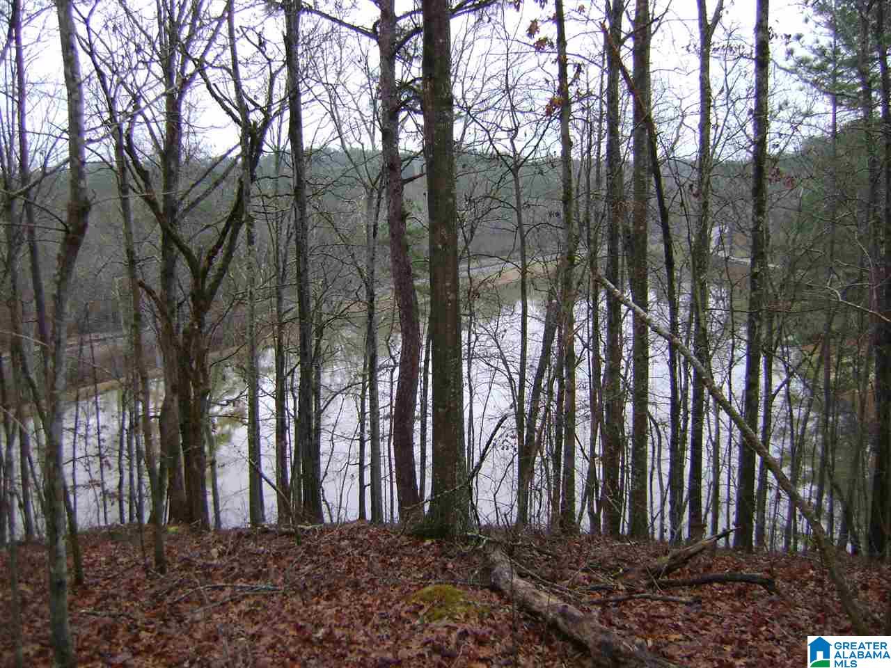47586 Highway 25 Sterrett, AL 35147 - Photo 11 of 20
