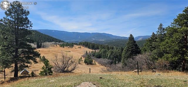 8755 Deiffendeffer Road Rye, CO 81069 - Photo 25 of 33 Gallery Image 25