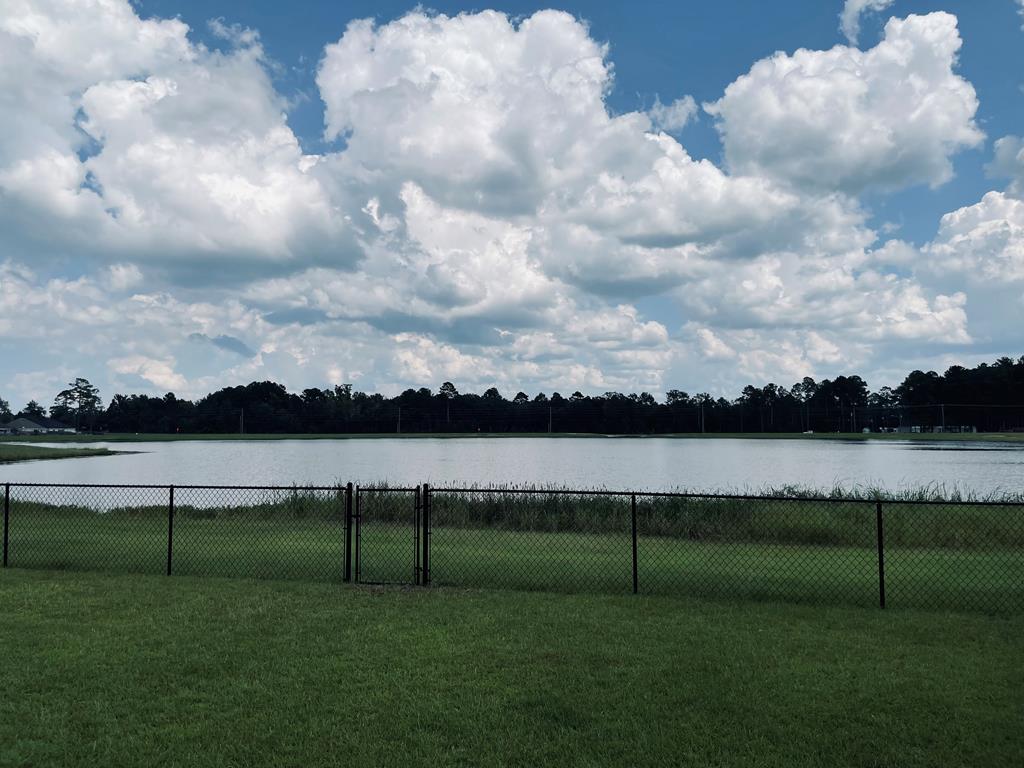 4086 Willow Round Road Hahira, GA 31632 - Photo 34 of 50 Gallery Image 34