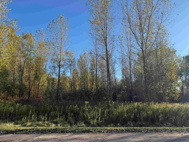 $40,000 | Willow Wood Street, Unit 2, Shawano, WI 54166