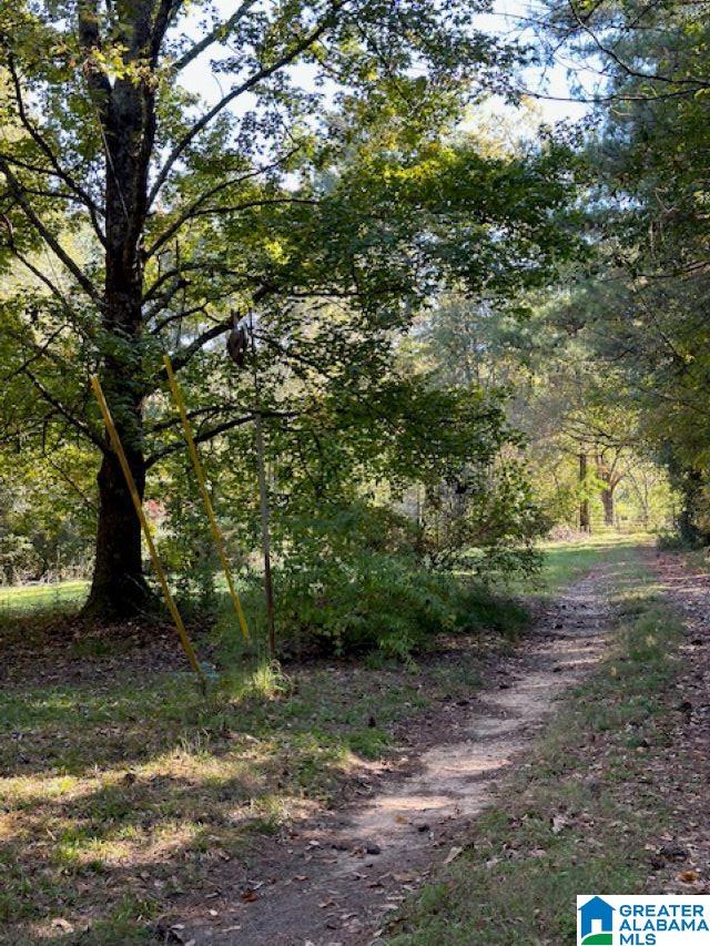 121 Ball Park Road Oneonta, AL 35121 - Photo 30 of 31 Gallery Image 30