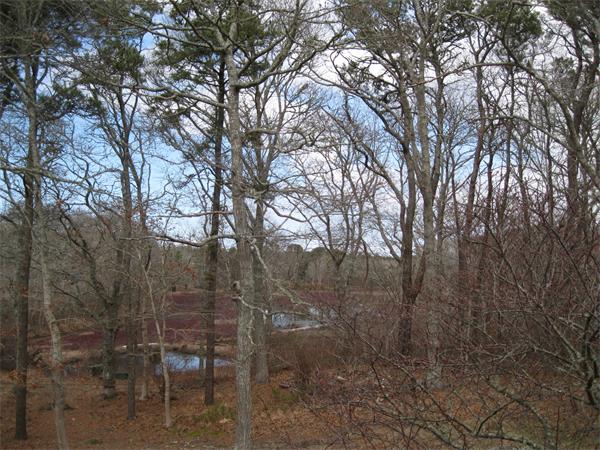 370 Pleasant Bay Road Harwich, MA 02645 - Photo 7 of 25 Gallery Image 7