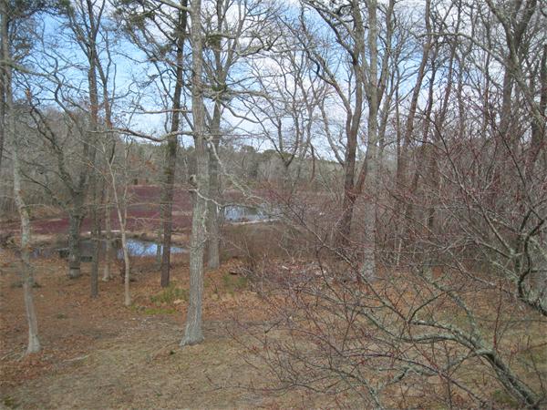 370 Pleasant Bay Road Harwich, MA 02645 - Photo 8 of 25 Gallery Image 8