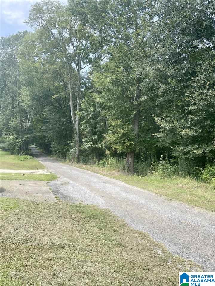 0 Scisson Lane Riverside, AL 35135 - Photo 2 of 2