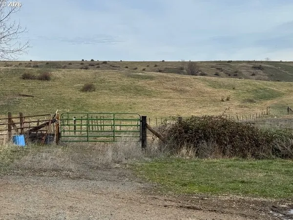 a view of a lake with a mountain
