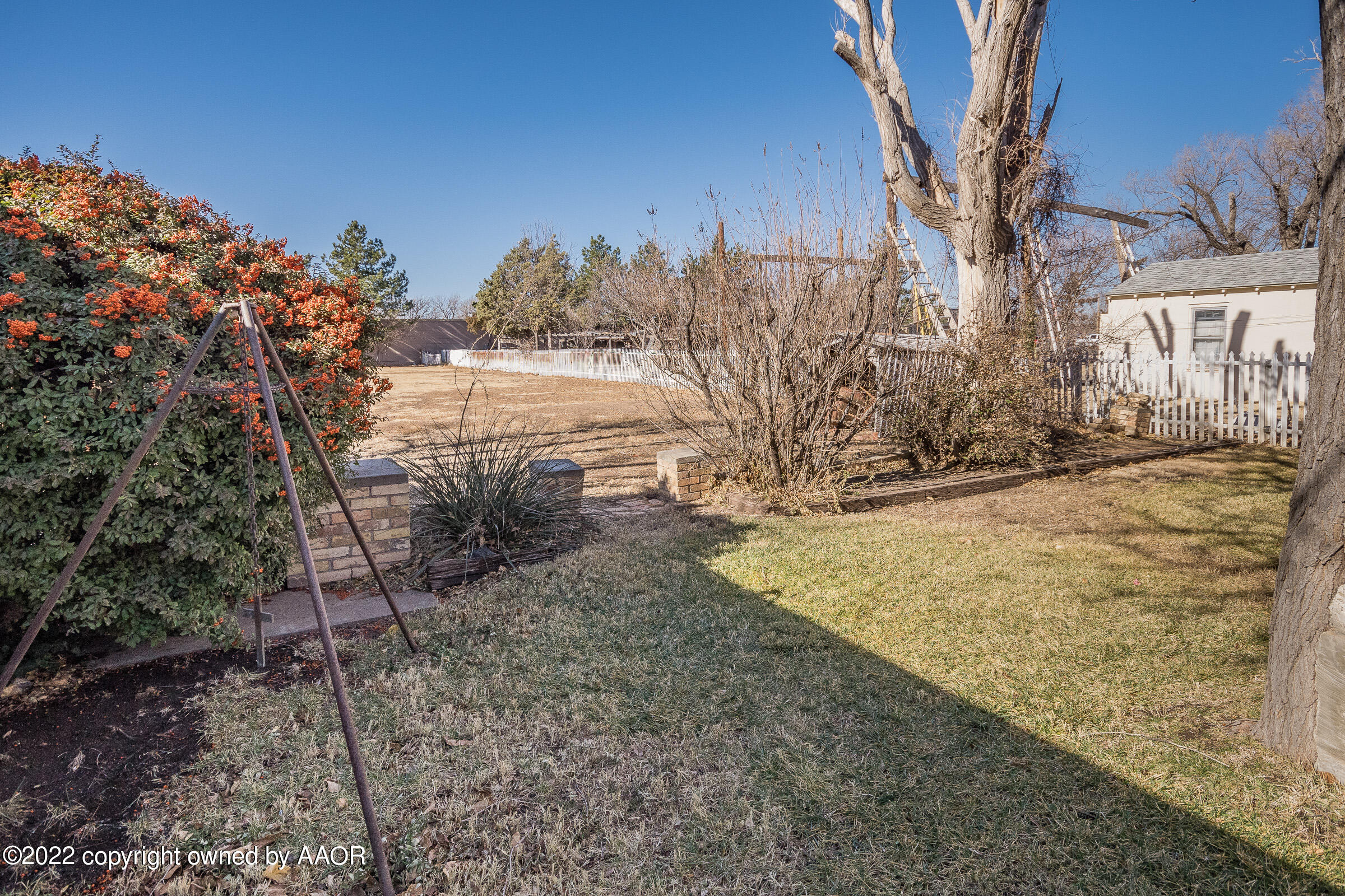 1538 Bell Street Amarillo, TX 79106 - Photo 24 of 26 a view of a yard with trees