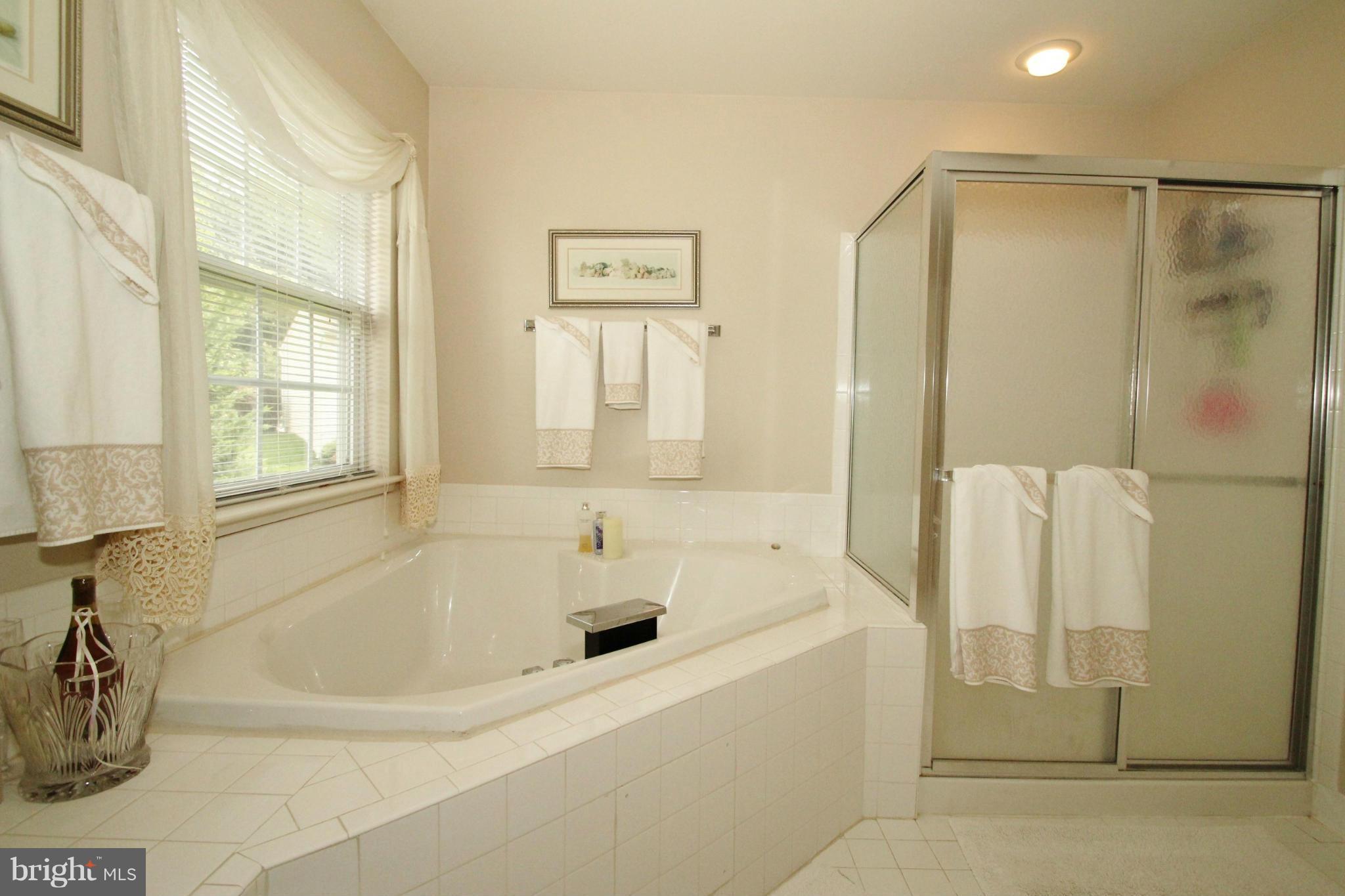5819 Winding Ridge Way Frederick, MD 21704 - Photo 18 of 30 Bath (Master)