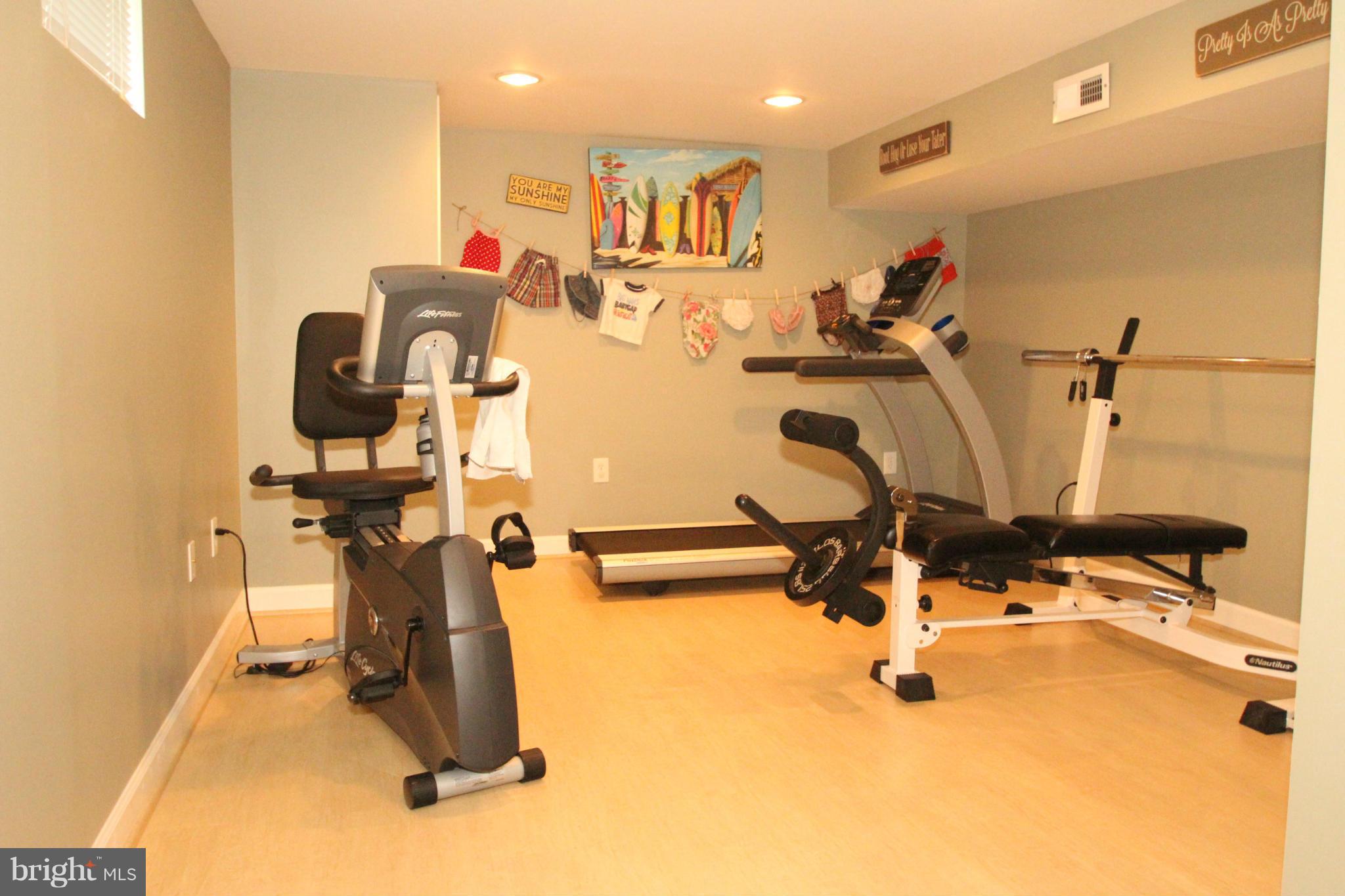 5819 Winding Ridge Way Frederick, MD 21704 - Photo 25 of 30 Basement