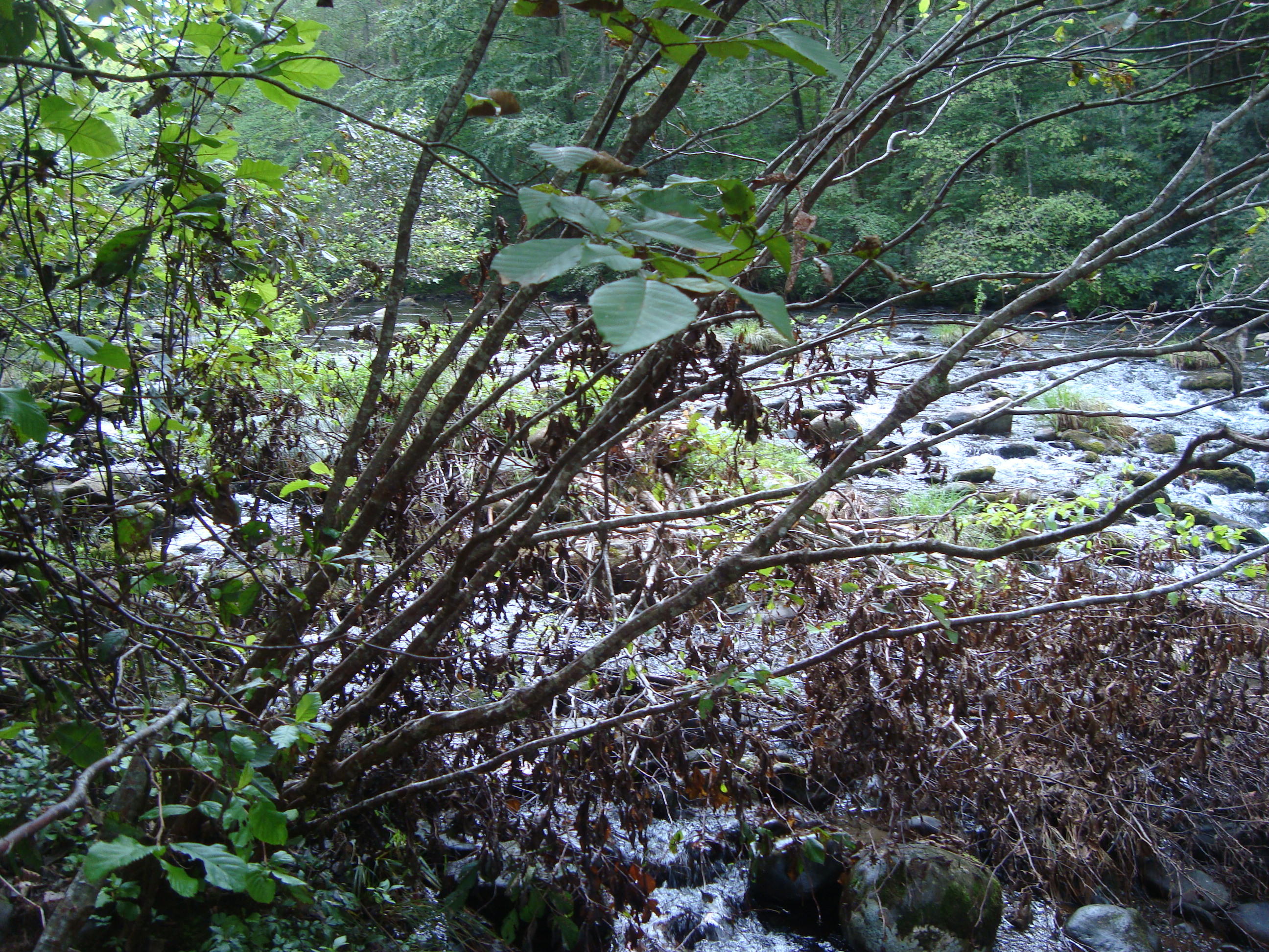 DSC06191