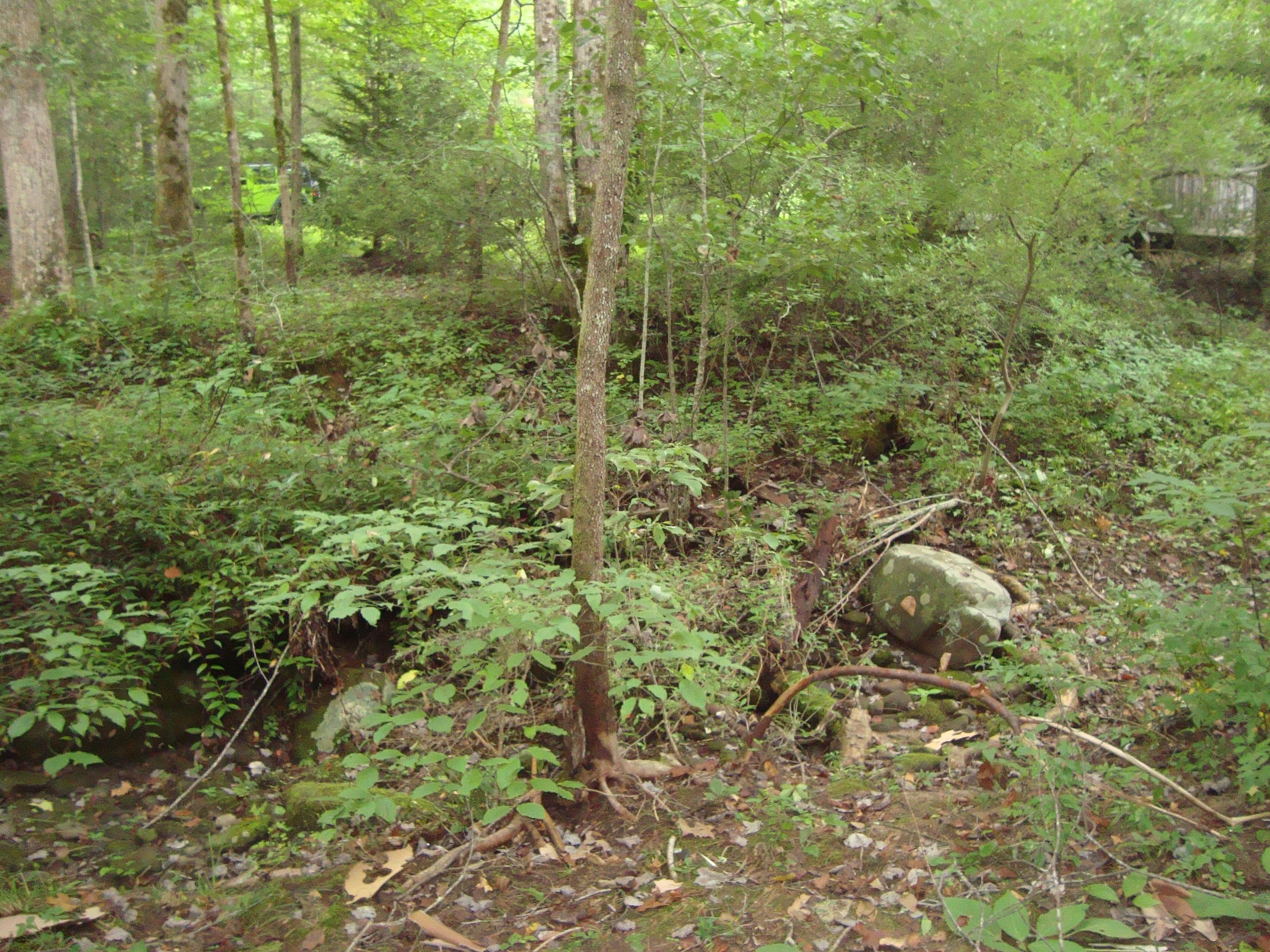 DSC06193