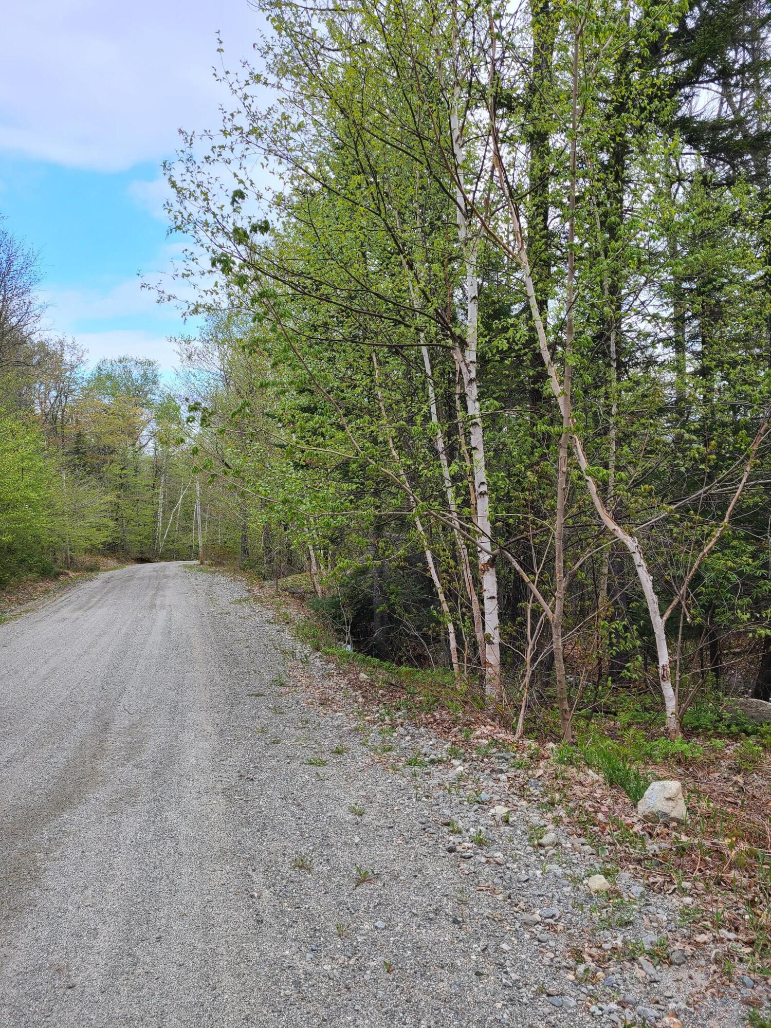 Tbd Tbd Map/lot 07-008) Mountain Road Stratton, ME 04982 - Photo 1 of 3 20230517_075849
