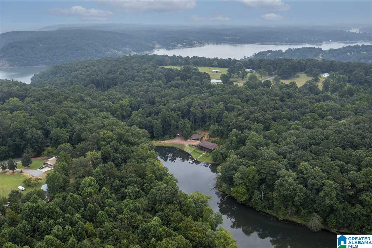 1775 County Road 143 Bremen, AL 35033 - Photo 46 of 49