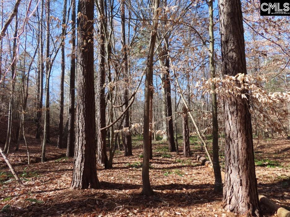 637 Cook Road Ridgeway, SC 29130 - Photo 16 of 51