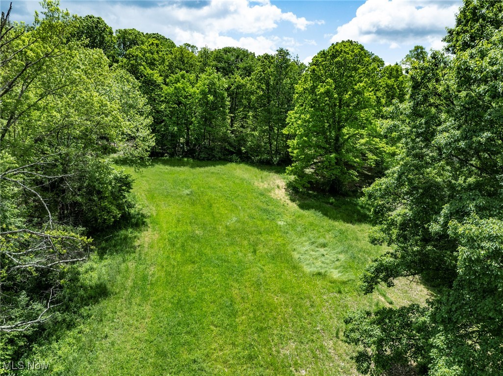 0 Dutch Ridge Road New Straitsville, OH 43766 - Photo 16 of 28 View of wooded area