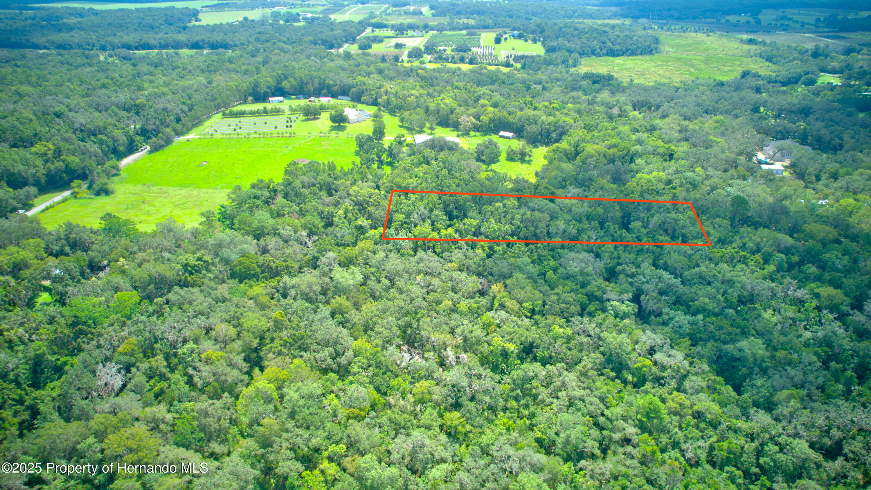 0 Whitman Road Brooksville, FL 34601 - Photo 7 of 30