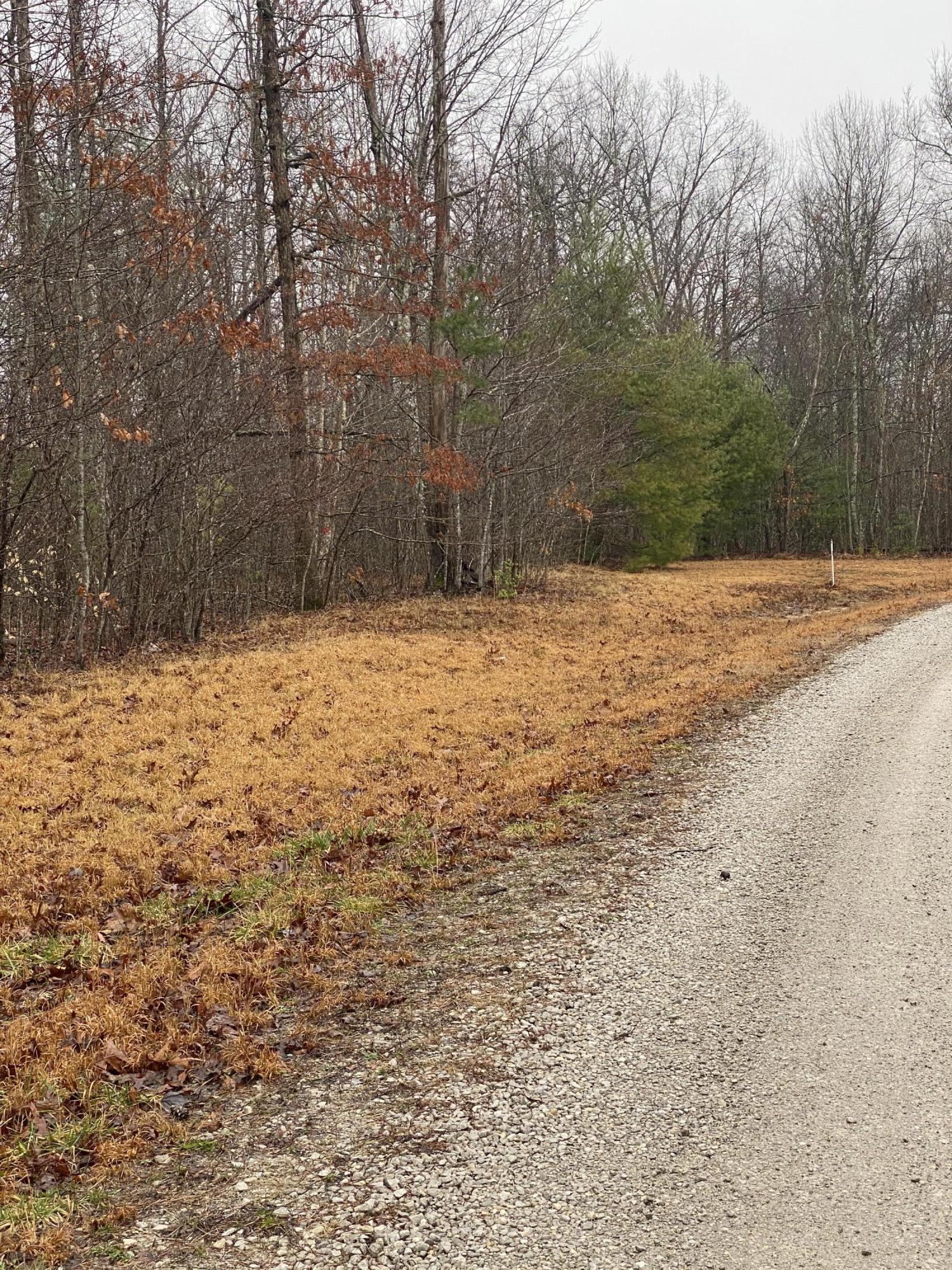 Goad Mill Lane Road Allardt, TN 38504 - Photo 2 of 8 66CF232F-1D22-4F91-91C8-91CDF014BE06