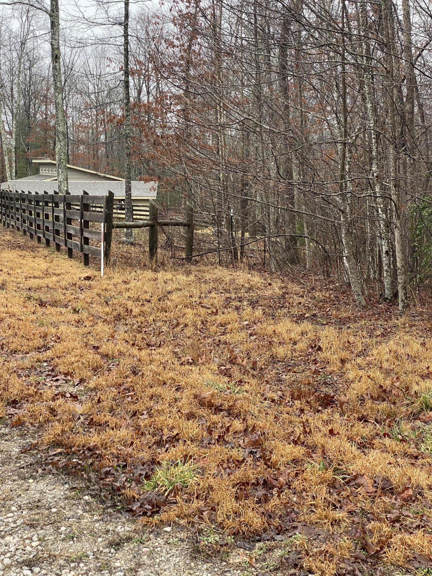 Goad Mill Lane Road Allardt, TN 38504 - Photo 8 of 8 A2DE362C-BE16-4573-B456-CDD7B7FC8CD2
