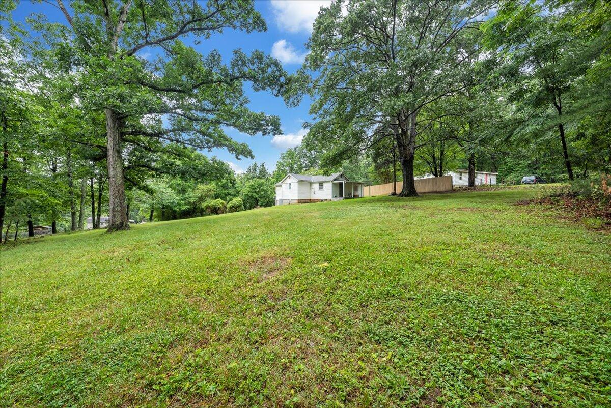 4393 Daugherty Road Salem, VA 24153 - Photo 20 of 24 a view of a field with a tree
