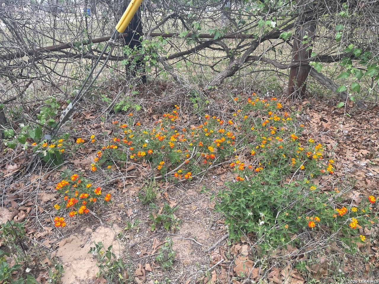 135 Pullman Road La Vernia, TX 78121 - Photo 38 of 51