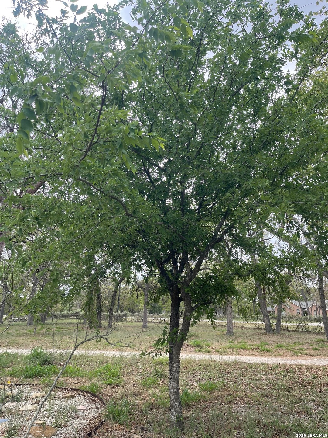 135 Pullman Road La Vernia, TX 78121 - Photo 39 of 51