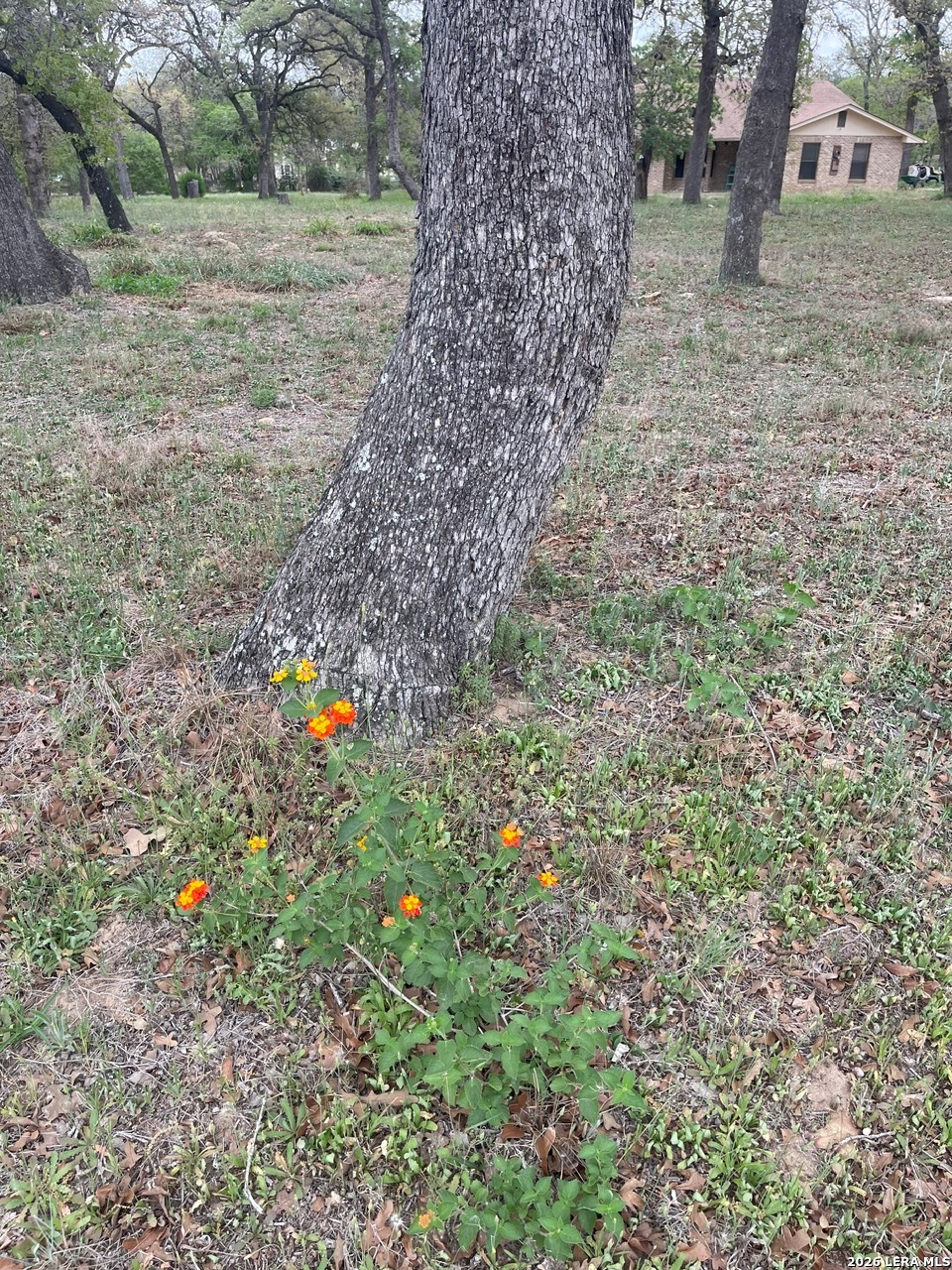 135 Pullman Road La Vernia, TX 78121 - Photo 43 of 51