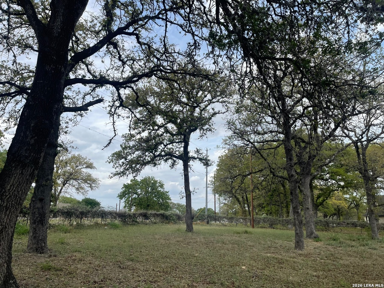 135 Pullman Road La Vernia, TX 78121 - Photo 44 of 51