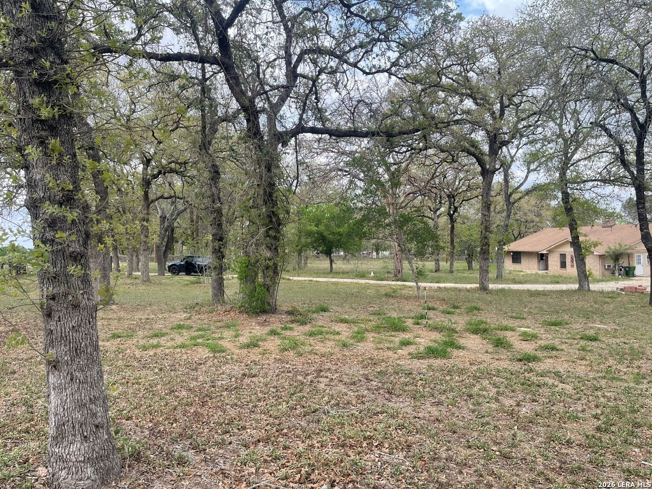 135 Pullman Road La Vernia, TX 78121 - Photo 45 of 51