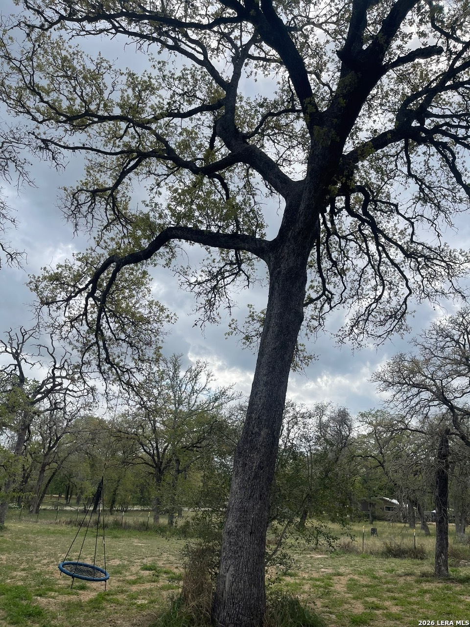 135 Pullman Road La Vernia, TX 78121 - Photo 47 of 51