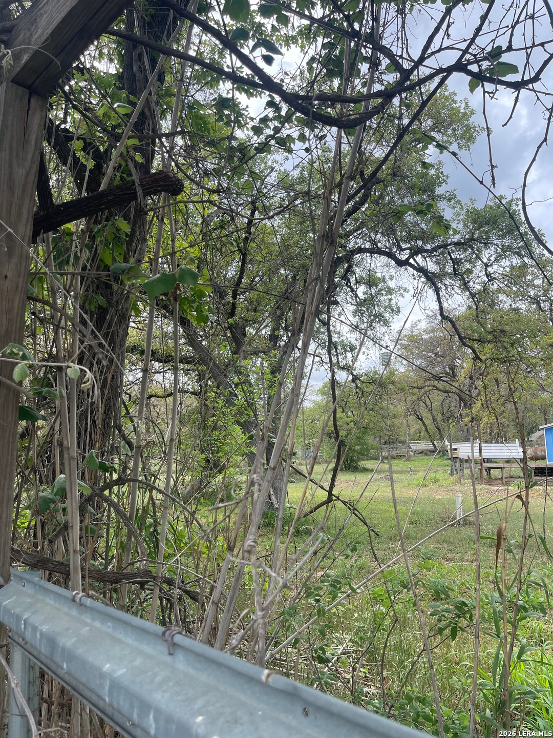 135 Pullman Road La Vernia, TX 78121 - Photo 50 of 51