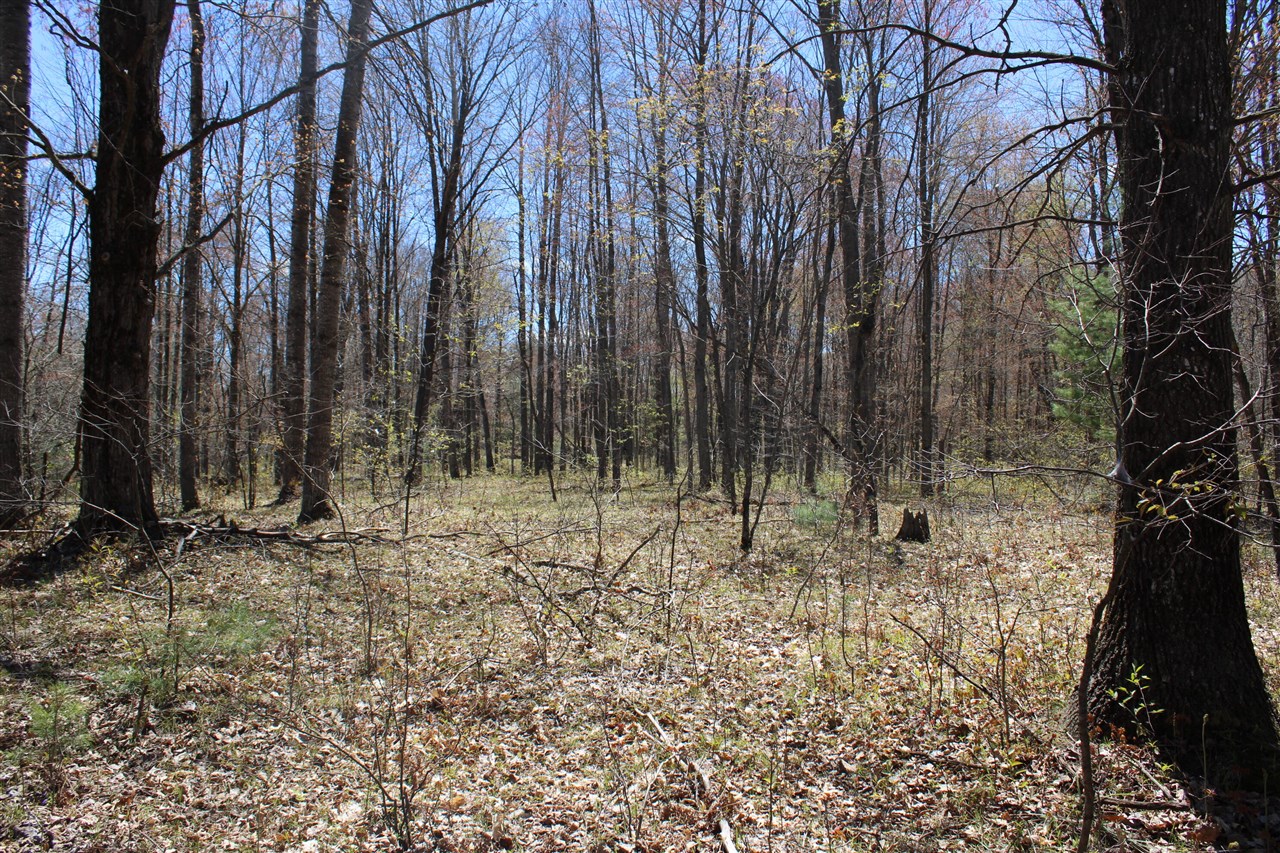 11401 Little George Lake Road Gladwin, MI 48624 - Photo 41 of 72
