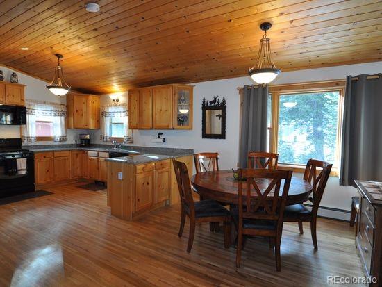 4668 Apex Valley Road Idaho Springs, CO 80452 - Photo 11 of 29 Gallery Image 11