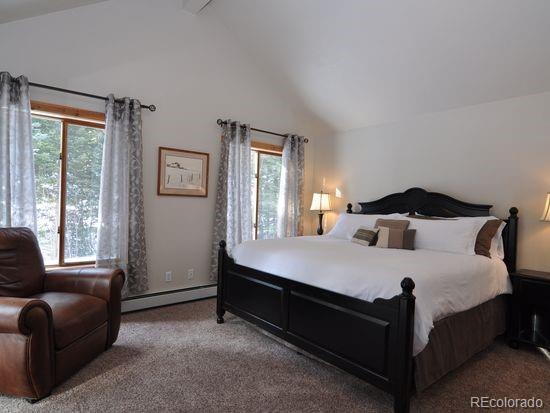 4668 Apex Valley Road Idaho Springs, CO 80452 - Photo 16 of 29 Gallery Image 16