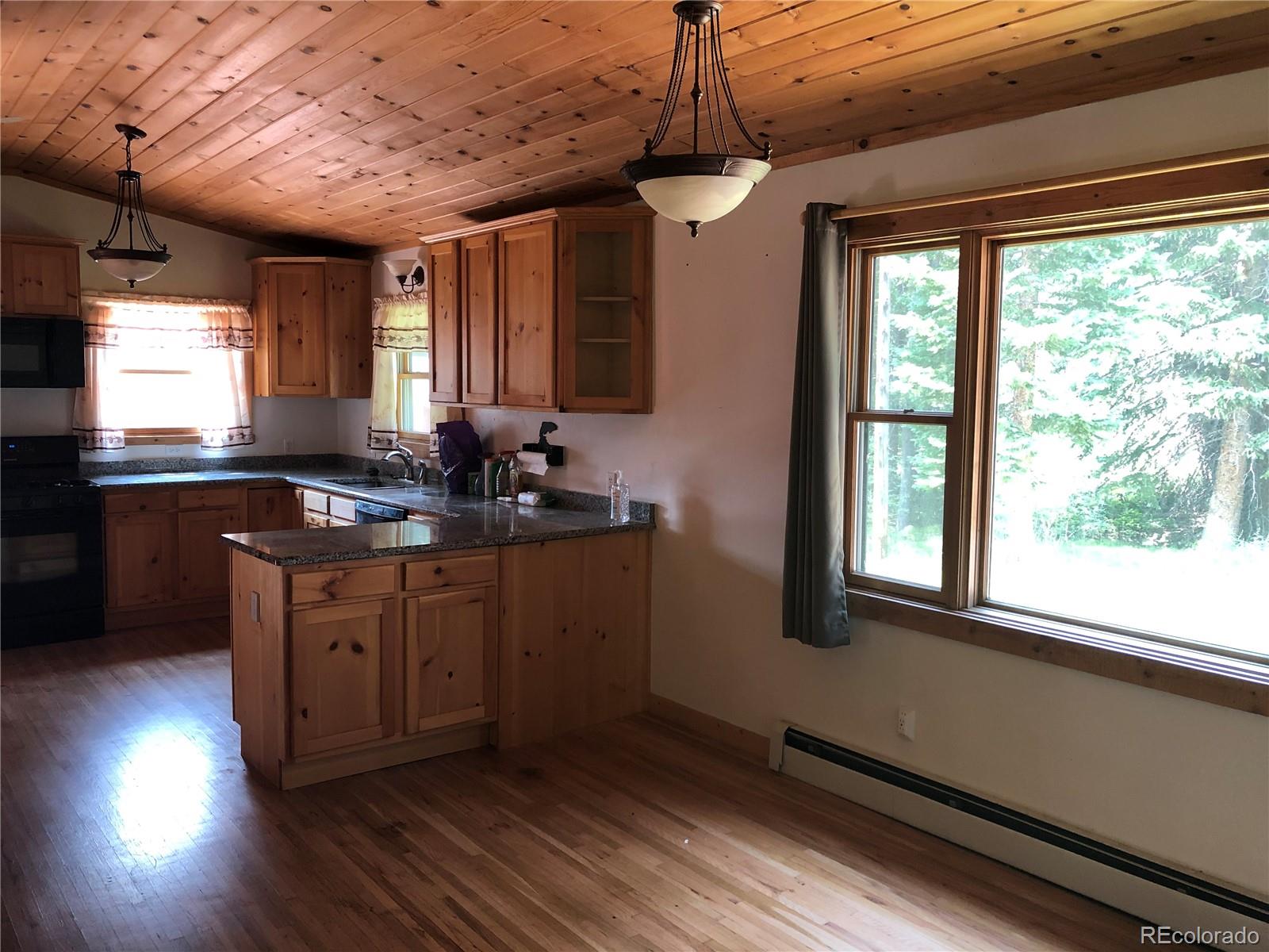 4668 Apex Valley Road Idaho Springs, CO 80452 - Photo 19 of 29 Gallery Image 19