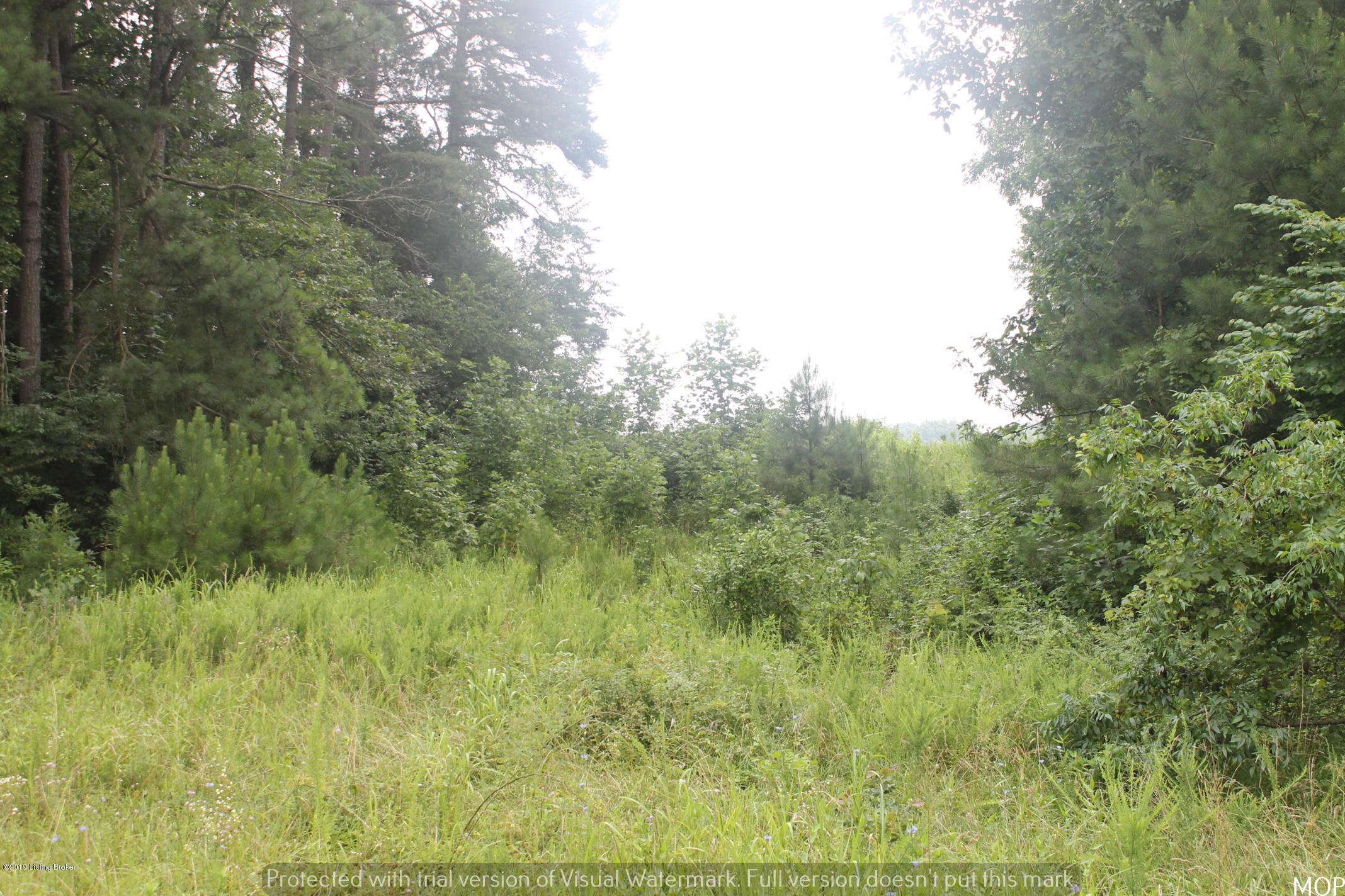 1503 Pikeview Road Magnolia, KY 42757 - Photo 28 of 28 IMG_2247