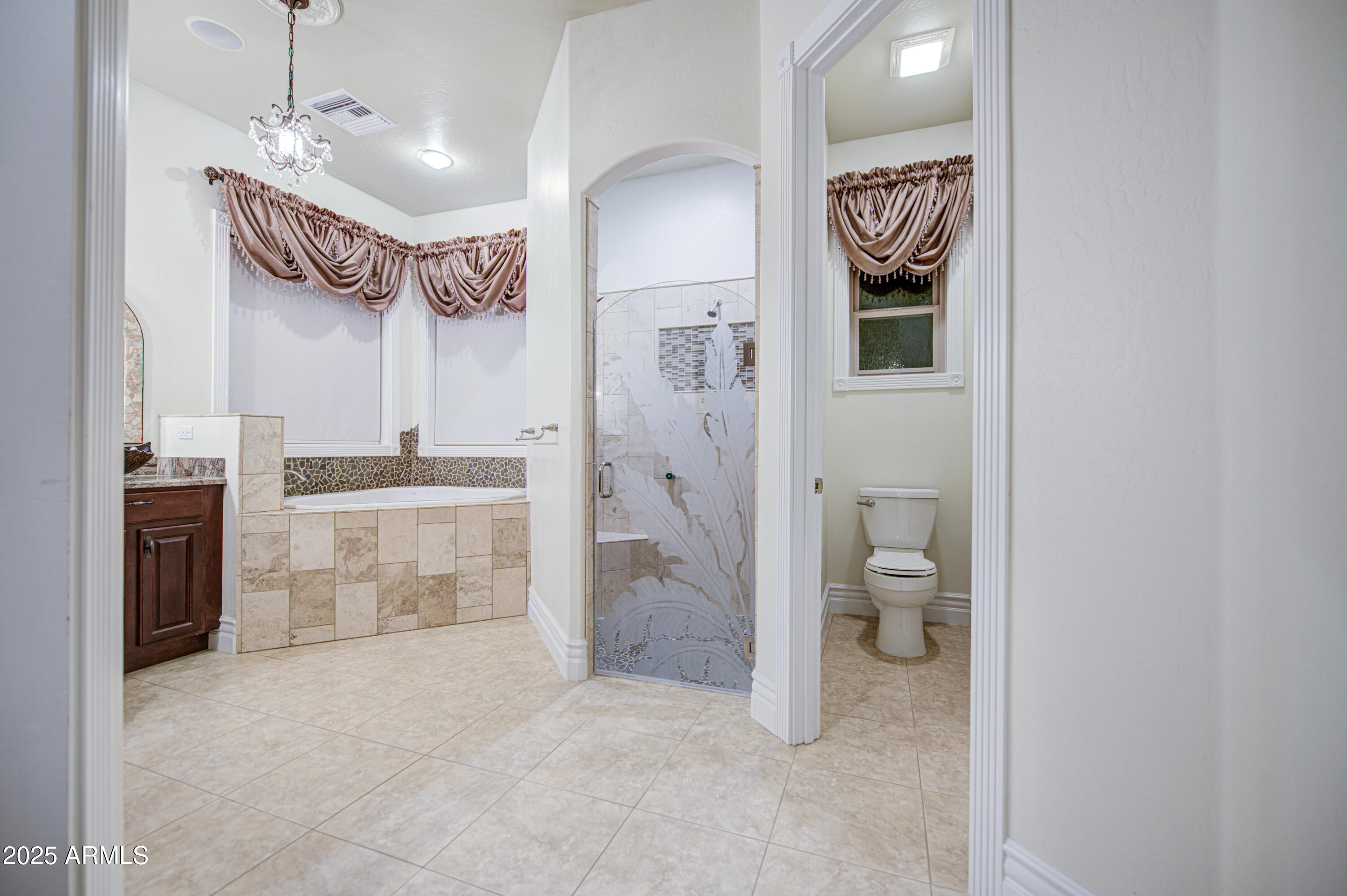 5238 North Explorer Road Apache Junction, AZ 85119 - Photo 46 of 109 a bathroom with a sink a toilet and a shower