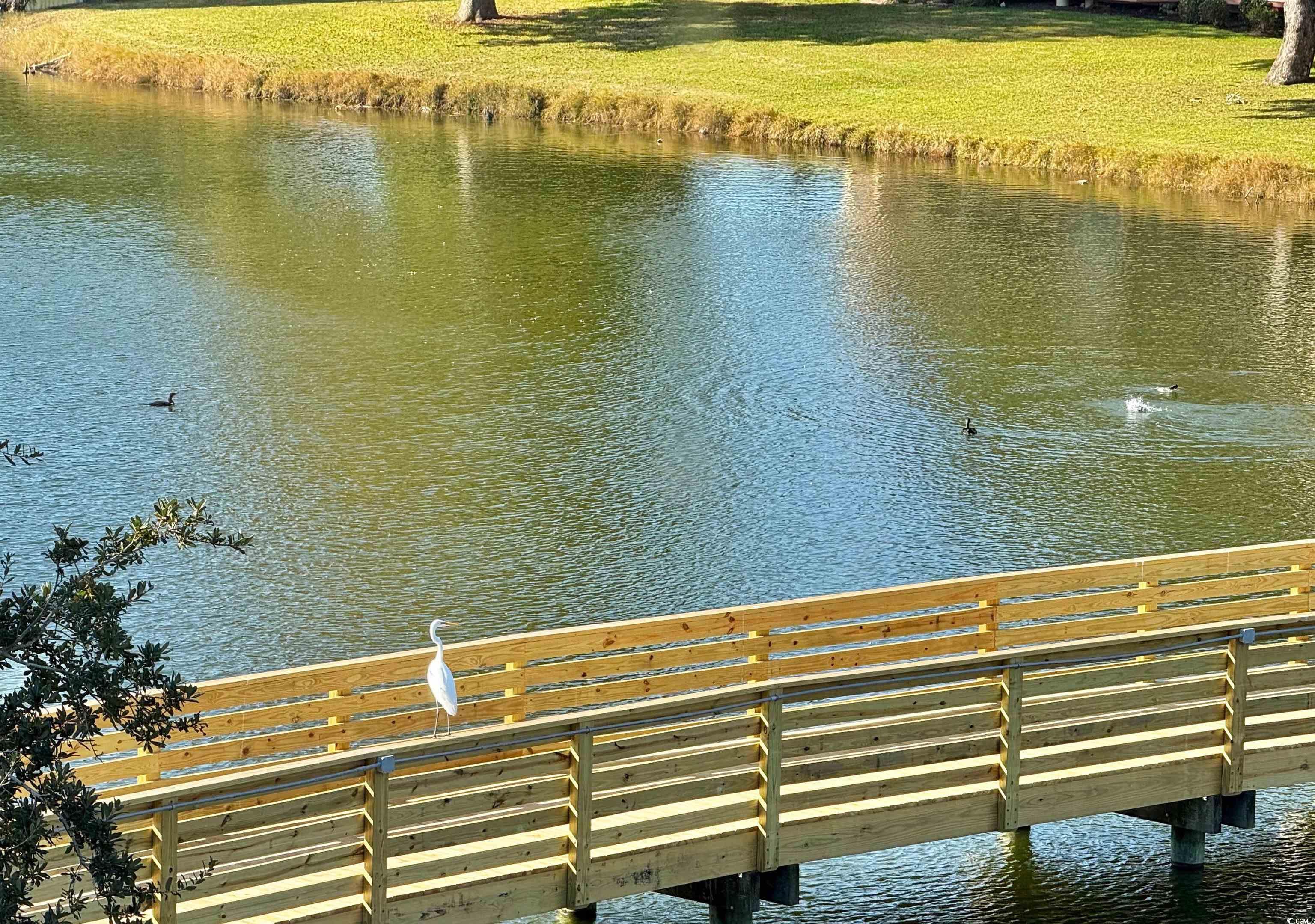 410 Melrose Place, Unit 310 Myrtle Beach, SC 29572 - Photo 11 of 39 Dock area with a water view and a balcony