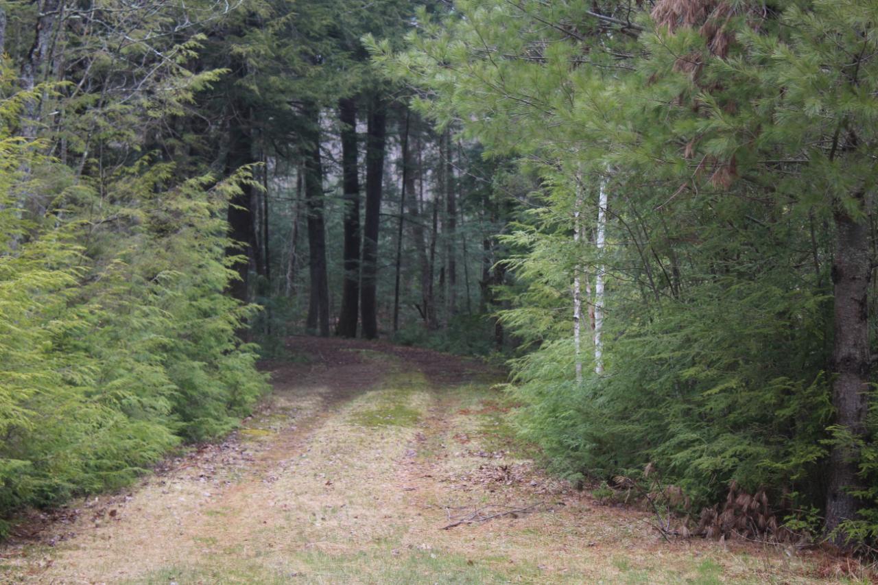 Lot 5 Long Point Conover, WI 54519 - Photo 9 of 13 Gallery Image 9
